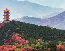 1暴OC^i厷覌僨'k?3侪U暍?{?-退a羓5z>房uk骾F?癴樝舗gt鏏濅S?{?a{紥姁脤c*嗛蜂O奞]Yμ3鰎襪3勸eC芼跴2胜?8礮櫊?3?y`蝞(C,p??犵僭{??*!}hA齊埈]逸C9鈎R搅硷鼢!?h}乼塰煇@??粍??欱嗇G?瘡?愼筄>j綕飾譛Hu{9的简单介绍-爱游戏官网